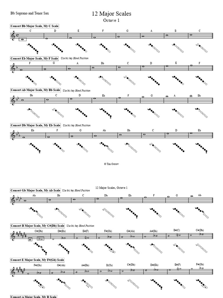 12 Major Scales S1o1 Soprano and Tenor Sax New PDF