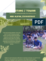 Nur Alifah - 220109511002 - Tolotang Towani