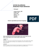 Fungsi Reproduksi Manusia-1