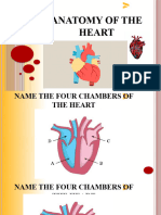 The Anatomy of Heart