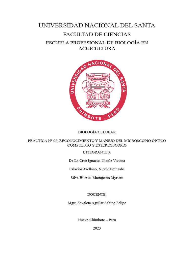 practica-2-pdf