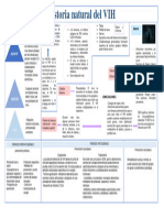 Historia Natural Del Vih