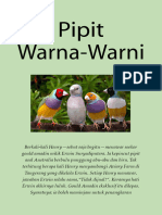 Pipit Warna-Warni. Gould Amadin