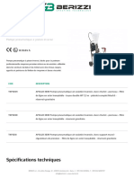 Berizzi Pompes Apollo 303r Datasheet