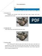 Apa Peralatan Pratikum