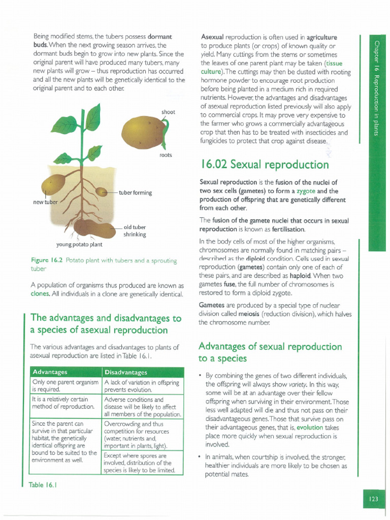 Igce Biology Plant Nutrition and Transportation Part 1 | PDF