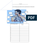 Respi Activity Assignment