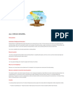 IA Science Project (Photosynthesis)