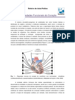 Teoria Da Pratica - Propriedades Funcionais Do Coracao