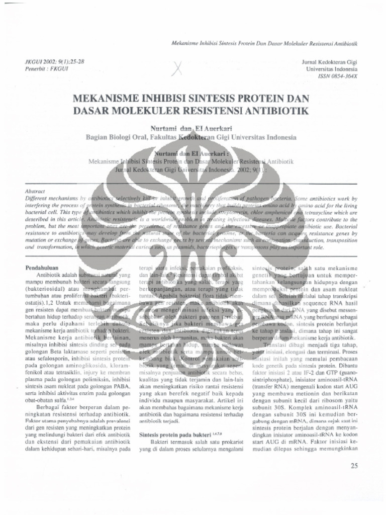 File pdf