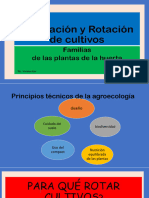 Asociación y Rotación