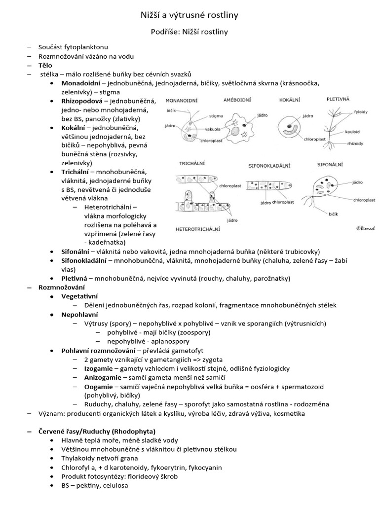 Bio 7 - Nižší Rostliny, Mechorosty | PDF