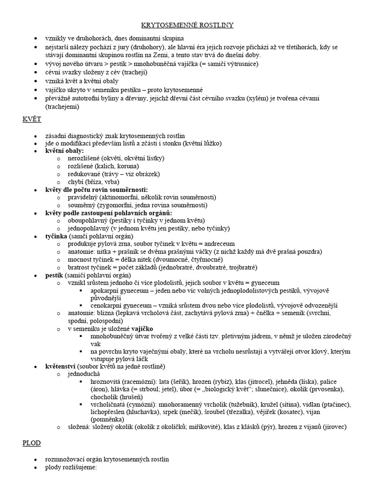 Bio 9 - Krytosemenné Rostliny | PDF
