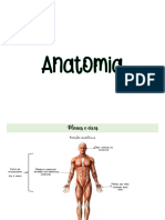 Anatomia Completo