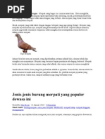 Koleksi Manfaat Vitamin B Komplek Untuk Burung Merpati Kumpulan