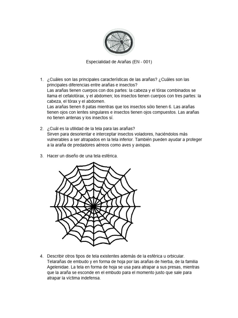 Características y Tipos de Arañas | PDF | Araña | Insectos