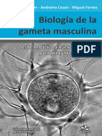 Biologia de La Gameta Masculina