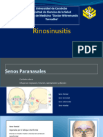 Rinosinusitis