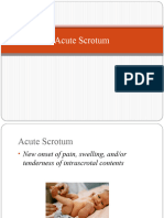 Acute Scrotum ปี4