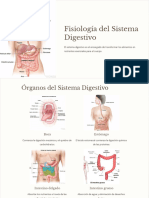 Fisiologia Del Sistema Digestivo