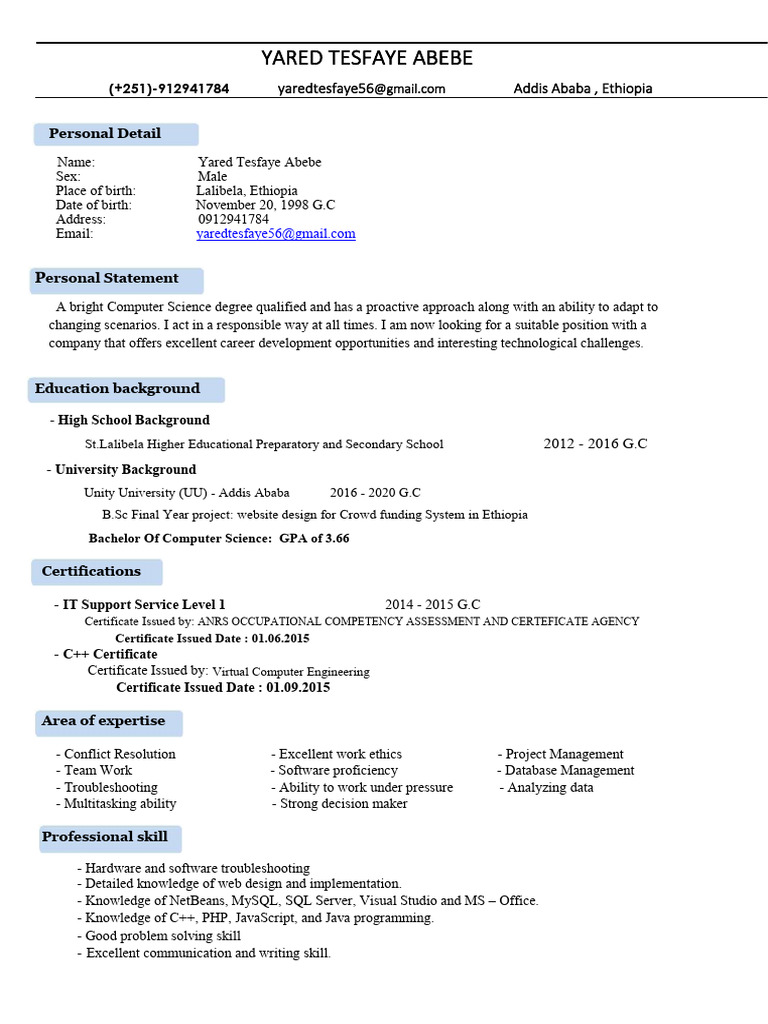 Yared tesfaye cv pdf php websites