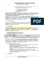 TDR Seguridad Modificado - Proyecto Aviacion