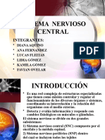 Sistema Nervioso Central: Integrantes