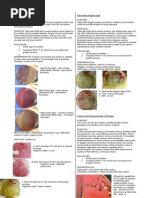 Microbio Lab 7 (Leigh)
