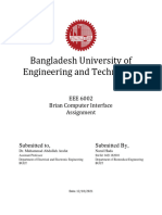 EEE6002 Assignment