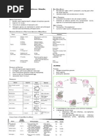 Download Microbio Lec 13 - Ricketssiacea Chlamydiae Mycoplasma by api-3743217 SN6769576 doc pdf