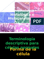 Terminología Histológica e Histopatológica