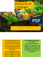 Programa de Combinación de Alimentos