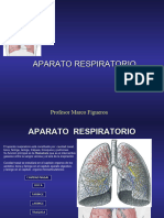 Unidad 2-Clase 8 Fono-Respiratorio