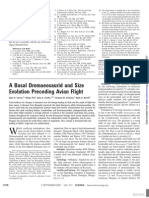 Turner, A. H. et al., 2007. A Basal Dromaeosaurid and Size Evolution Preceding Avian Flight (Mahakala omnogovae)