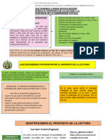 ¿Qué Debemos Lograr en Esta Sesión? Identifica El Propósito de La Lectura Y La Importancia de La Comprensión Textual