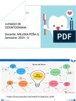 Llenado de Odontograma