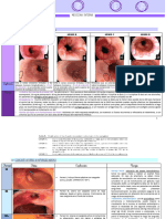 Endoscopia Clasificación