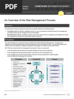 Risk Management Process