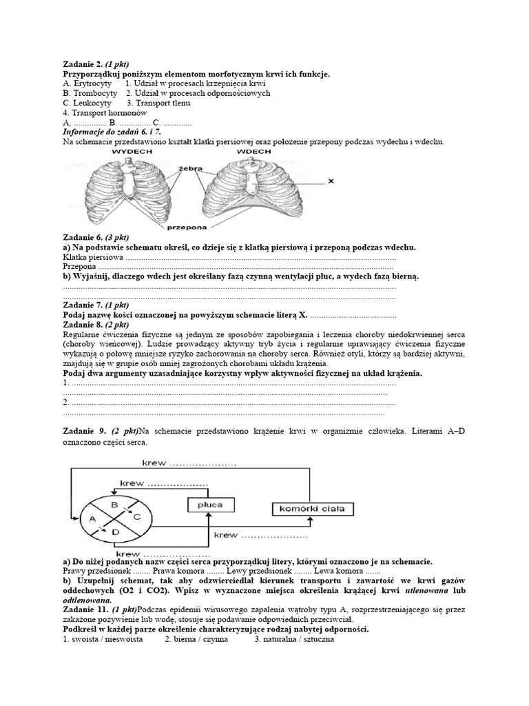 Uklad Oddechowy Klasa 7 Test zadania-uk.oddechowy i krwionośny | PDF