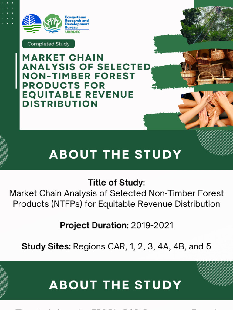 NTFP Market Chain Analysis for Equity | PDF | Marketing | Prices