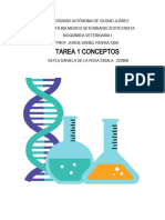 Bioquimica Tarea 1 Conceptos