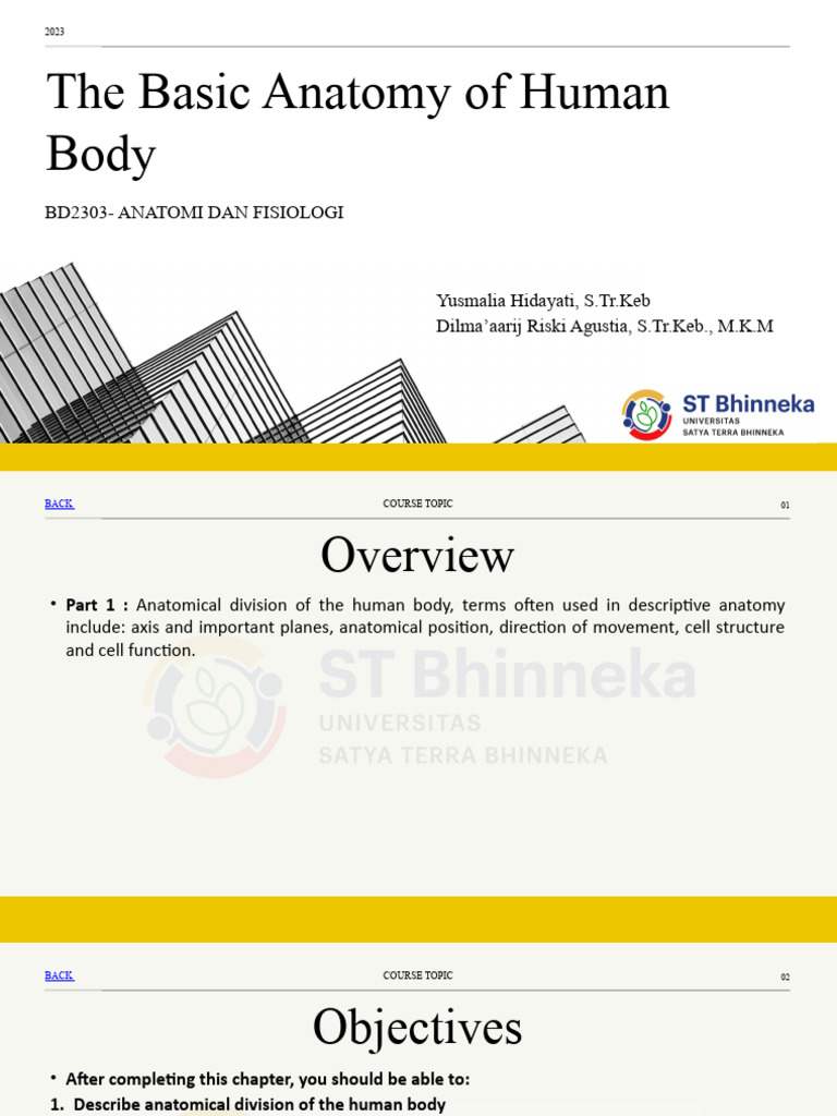 Part 1 - The Basic Anatomy of The Human Body Biology Diagrams