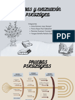 Pruebas Psicologicas