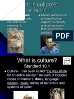 What is Culture