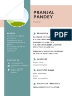 PP CV Resume