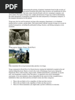 Triage Color Coding Overview | PDF
