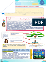 1ro - Actividades Exp. 07