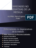 Enfermedades No Degenerativas de La Medula