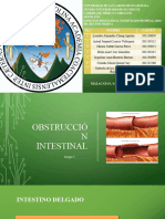 Obstrucción Intestinal