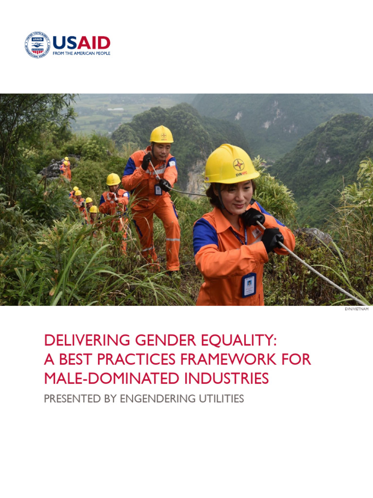 Delivering Gender Equality Best Practices Framework | PDF | Business ...